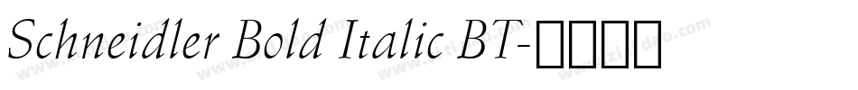Schneidler Bold Italic BT字体转换